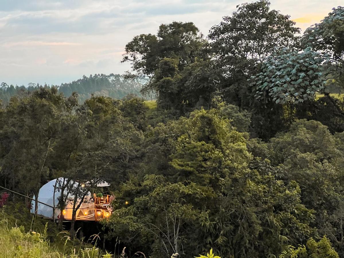 Solana Glamping Hotell Pereira Eksteriør bilde