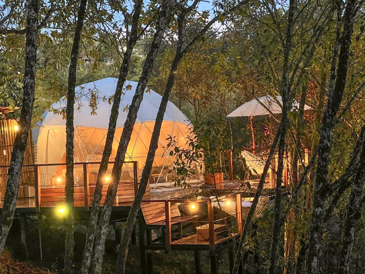 Solana Glamping Hotell Pereira Eksteriør bilde